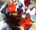 socio-economic empowerment of peoples in india