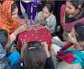 study, surveys & inhouse officers trainings